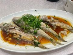 -苏启渔港(云南北路店)