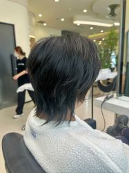 点击看大图 -GANO HAIR