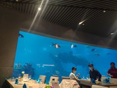 大堂-海棠湾洲际-涛·海底餐厅·美人鱼·自助餐·海底隧道