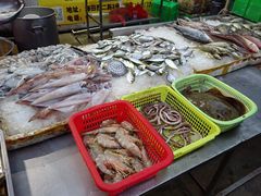 -霞海鸭仔饭店(海滨大道北店)