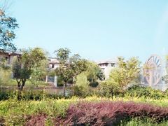 -嵖岈山风景区