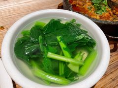 沾水苦菜-缘生态云南菜·野生菌庭院餐厅(华侨城店)