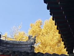 -承恩寺