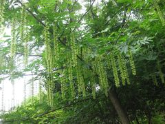 -苏州河梦清园环保主题公园