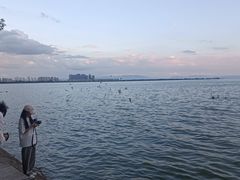 -滇池海埂公园