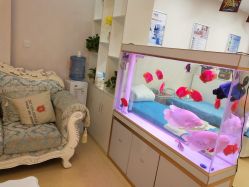 -痘庄科学祛痘国际连锁机构