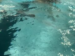 -金银湖市民文体活动中心恒温游泳馆
