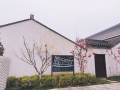 -青果巷历史文化街区