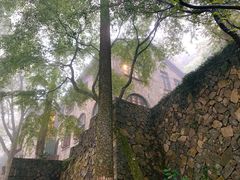 -莫干山风景区