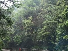 -狮子关旅游区