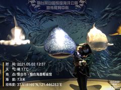 -烟台海昌鲸鲨海洋公园