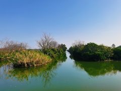 -大湾区中央湿地公园