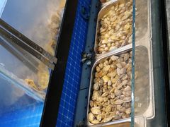 -苏格里岛自助海鲜火锅烧烤(大汉悦中心店)