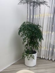 -HEYAN荷妍专业脱毛连锁机构