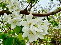 -中关村生命科学园