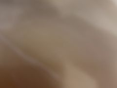 -北李妈妈菜·虾爬子大锅贴(贵和店)