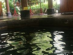 景点-西安国际创新人才交流中心•药浴温泉