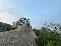 -大岭沟猕猴桃谷风景区