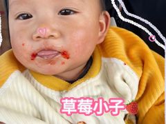 -长洲岛