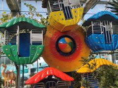 -南宫五洲植物乐园