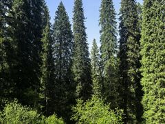 -新疆那拉提国家旅游度假区