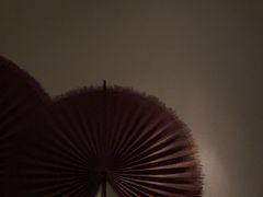 -Dragonfly悠庭·按摩Spa(静安嘉里中心店)