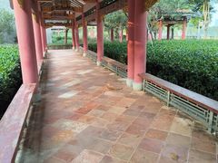 -顺峰山公园