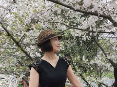 -南浦大桥长途旅游客运站
