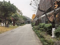 -成都许燎源现代设计艺术博物馆