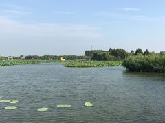 -白洋淀景区
