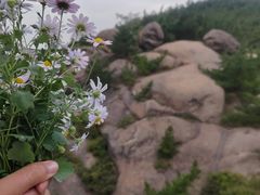 -竹子庵公园