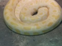 -福州罗源湾海洋世界旅游区