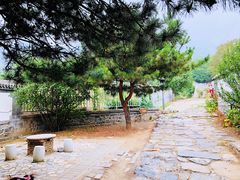 -阳台山自然风景区