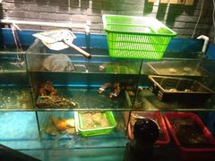 水产区-吉友粥底火锅(方斜路店)