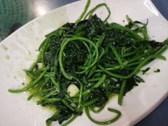 红薯叶-清水湖度假村(罗浮山美食地标店)