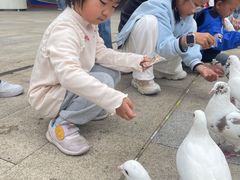 -中国翰园碑林