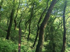 -句容茅山景区