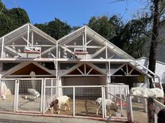 -J Create城市露营咖啡·简餐·宠物(上海动物园店)