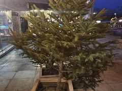 -长白山万达锦华套房酒店