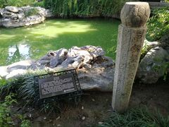 -常熟方塔园