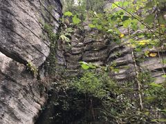 -梭布垭石林景区