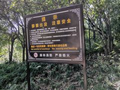 -苏州上方山国家森林公园