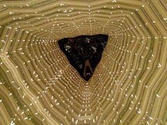 -广州四季酒店·天吧·高空酒吧