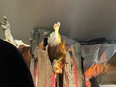 -本源食集 日式烧肉·炉端烧(东海缤纷店)