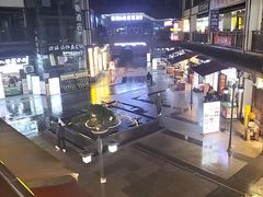 -颜氏双江清水鱼一养身火锅(磁器口店)