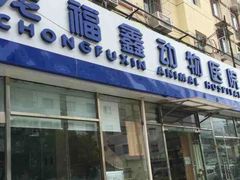 -康乐宝动物医院