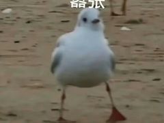 -唐记麻辣拌麻辣烫(景田东路店)