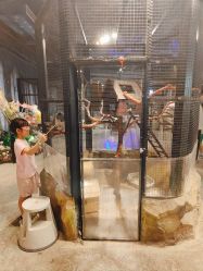 -酷嗒动物文化乐园(cutezoo西溪乐天城店)