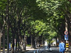 -复旦大学邯郸校区南区游泳馆