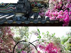-深圳国际园林花卉博览园